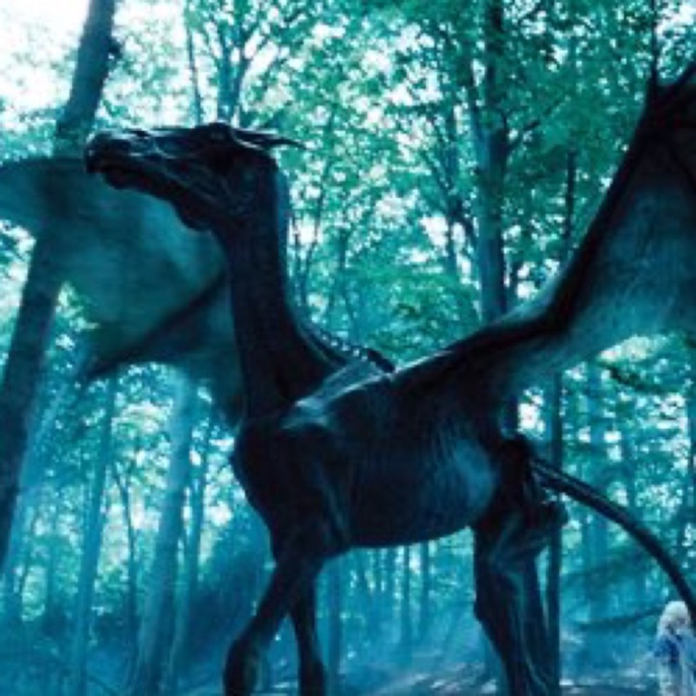 Meet your Posher, Astrid